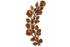 rose.jpg